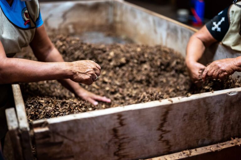 People composting with bamboo