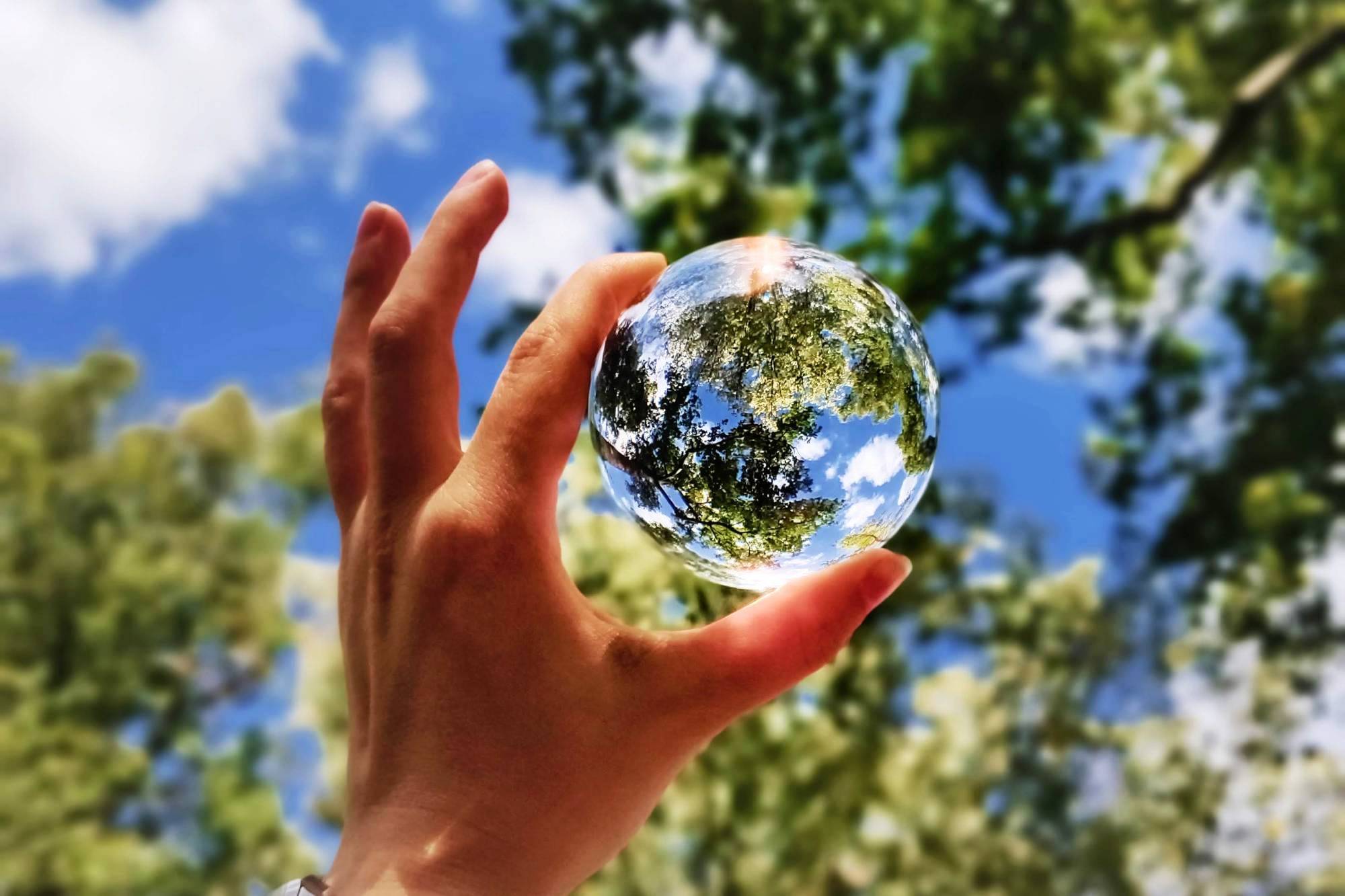 Bamboo sustainable alternative; hand holding clear orb in front of trees